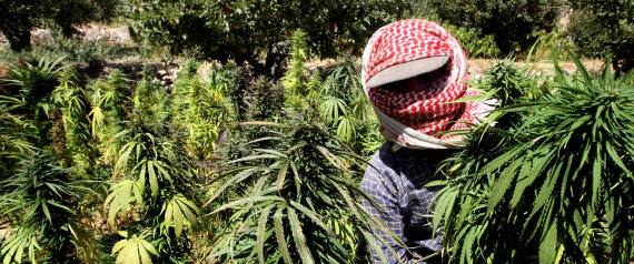 In Lebanon, Marijuana Trade Thrives From Cha