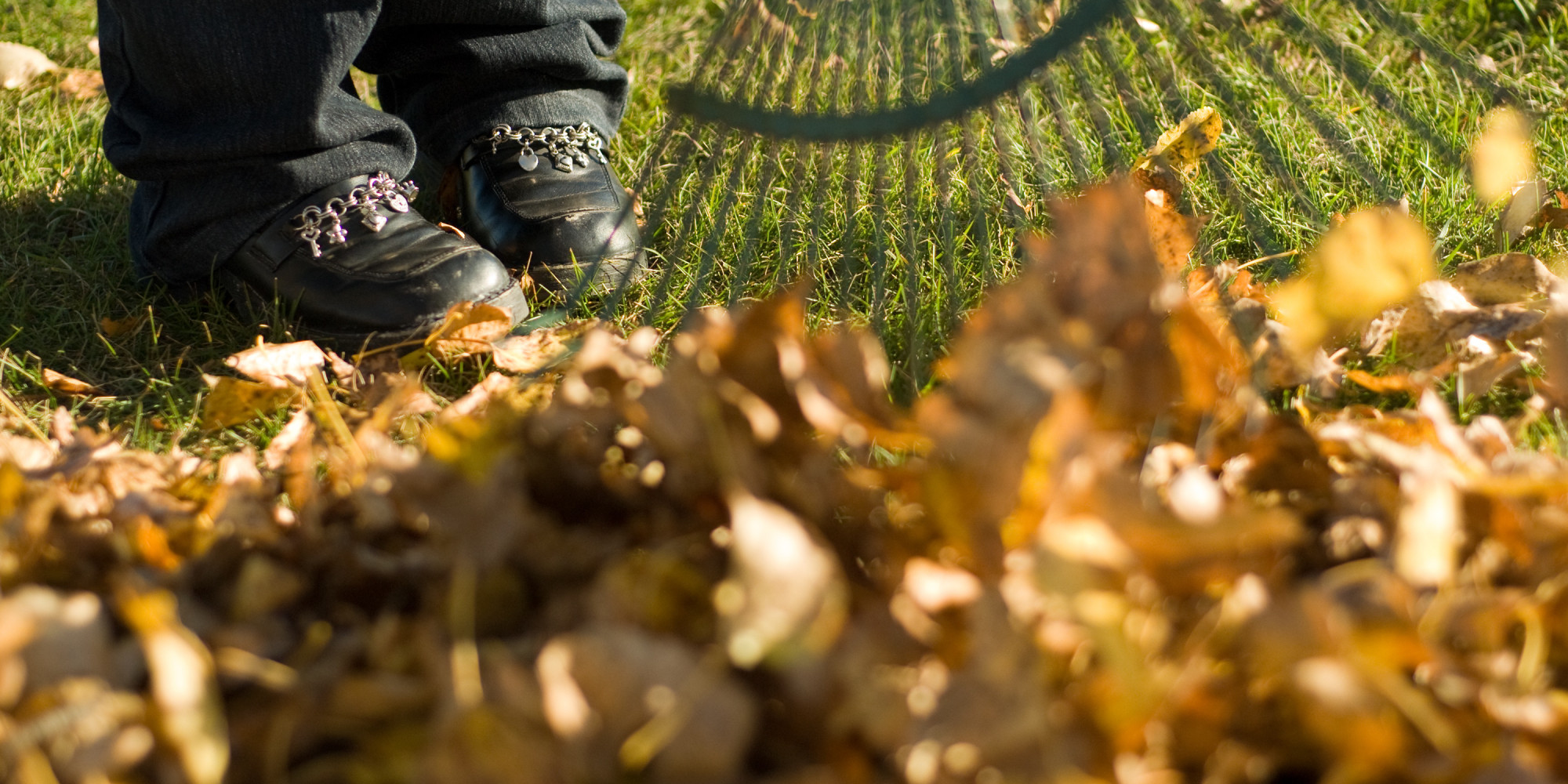 Raking The Leaves Is It Really Necessary To Get Rid Of Leaves?