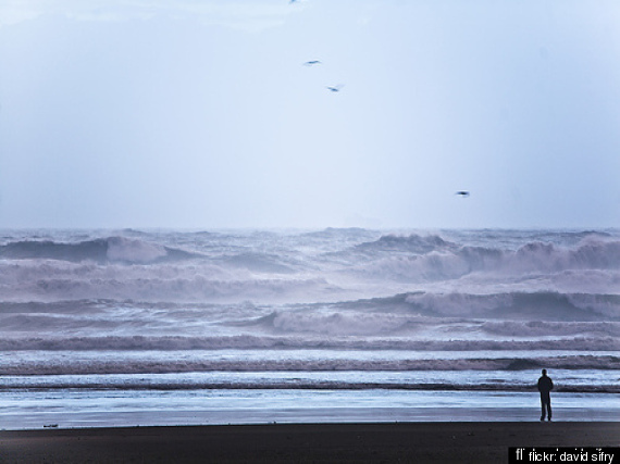 Ocean Acidification