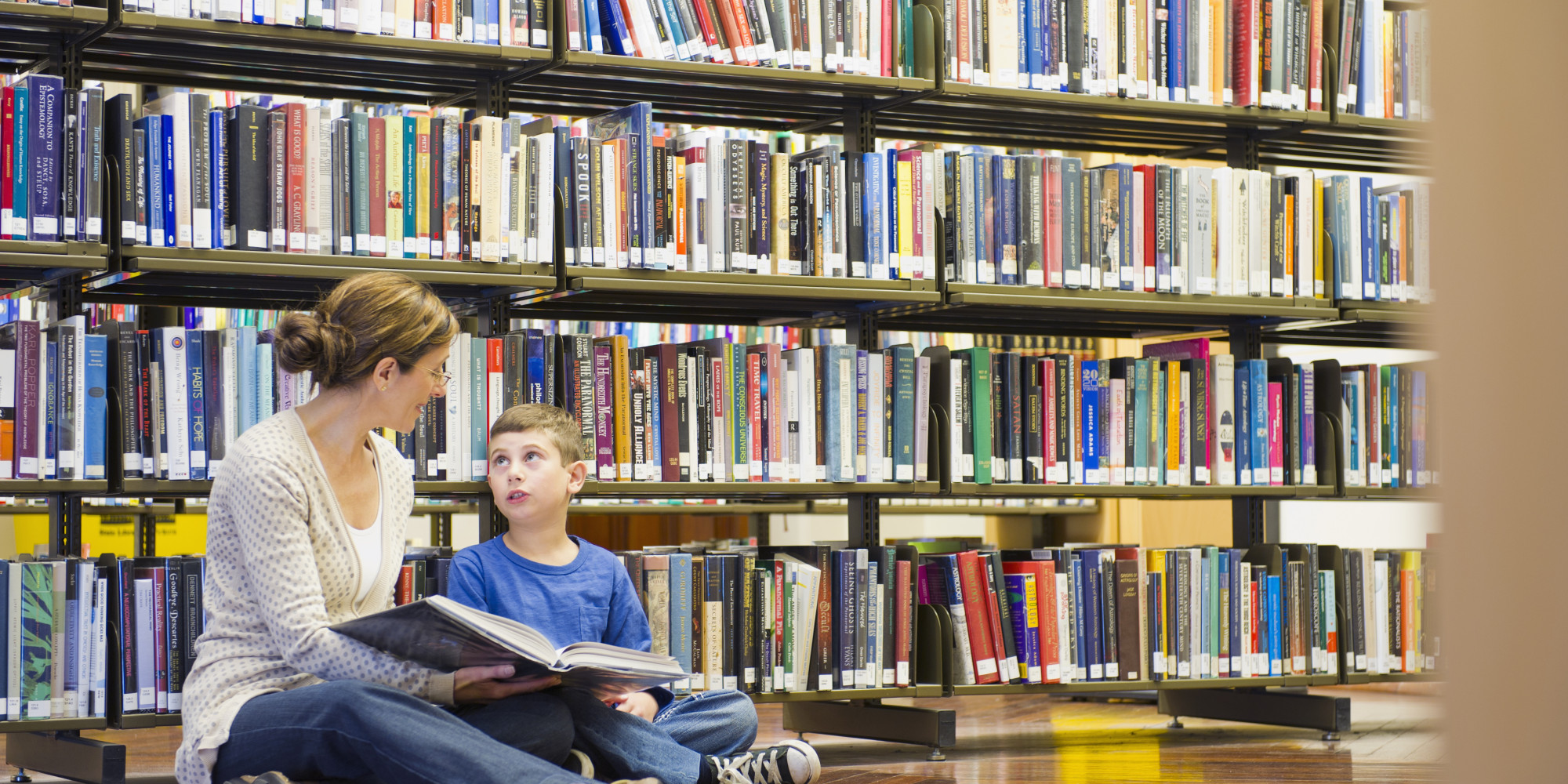 Essay shares debentures