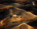 Desert Tribesmen, Jellyfish and Rafael Nadal: The Week In Photos, Nov. 24 - 30