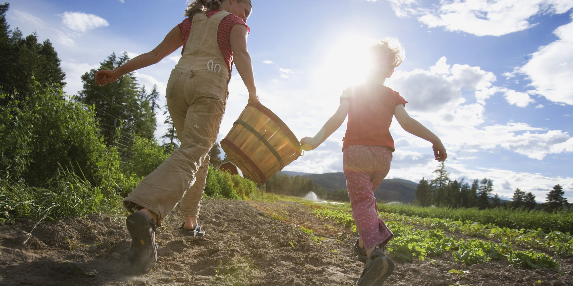 What We Can Learn From Family Farmers in the United States HuffPost