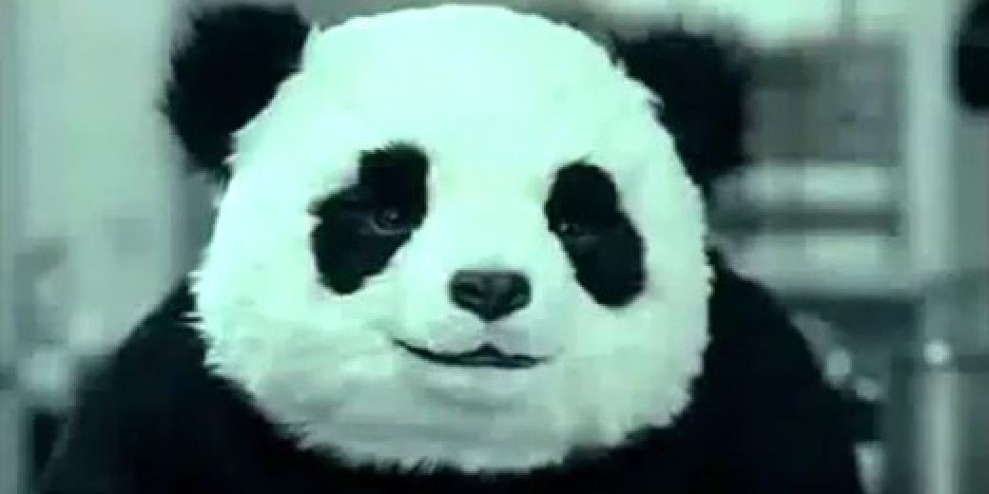 Panda Cheese Commercials Are Still Hilarious (VIDEO) | HuffPost