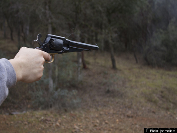 Gun