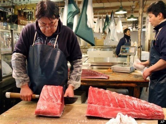 Japan Tuna Ban