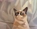 10 Viral Art Moments The Internet Will Never Forget