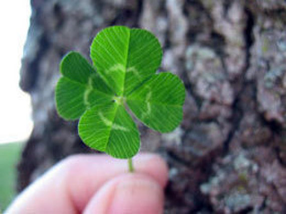 Ireland Shamrock Shortage