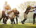 'You Can Play' Working With NFL On LGBT Youth Initiative