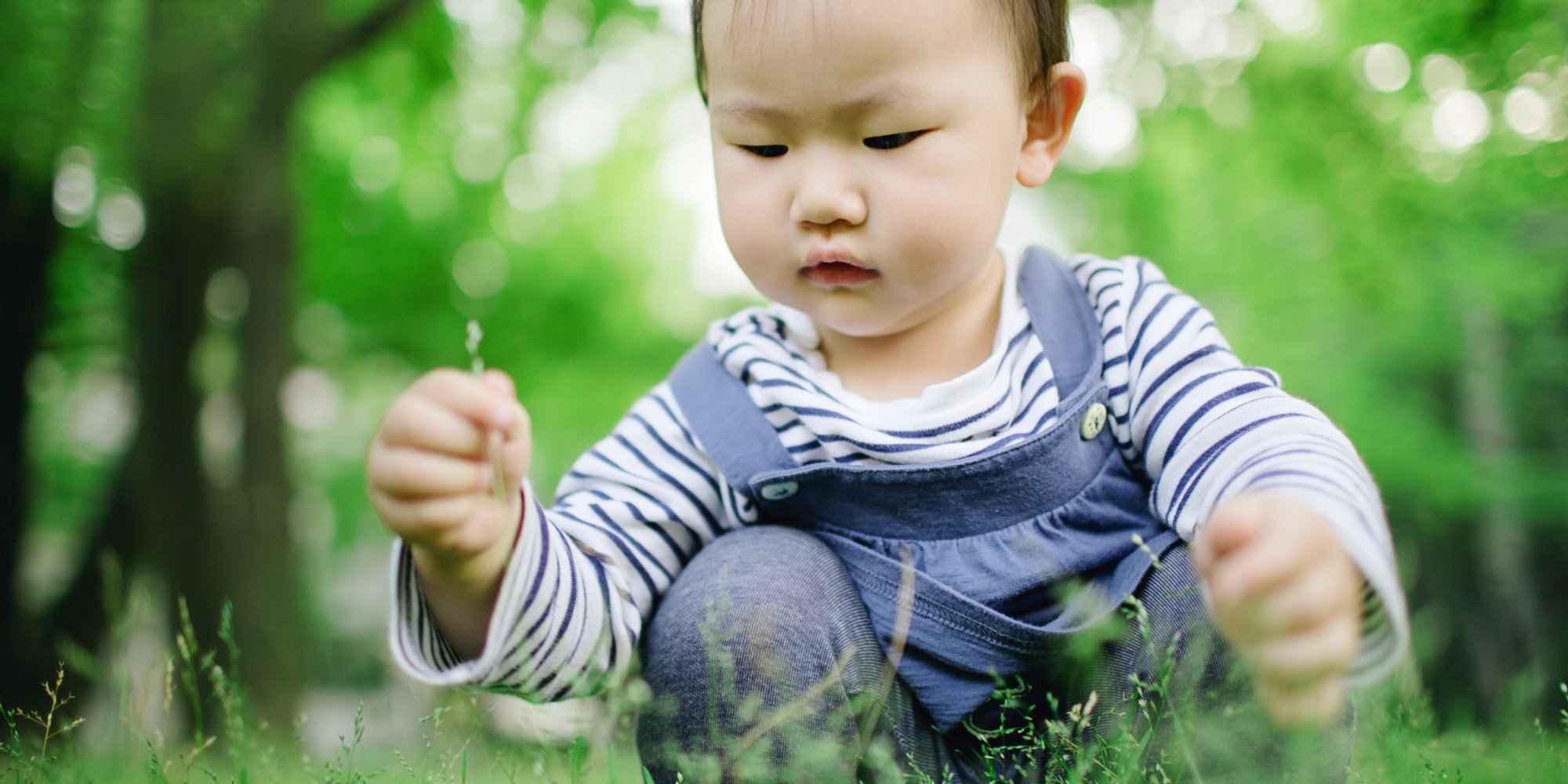 Why Babies Fear Plants HuffPost