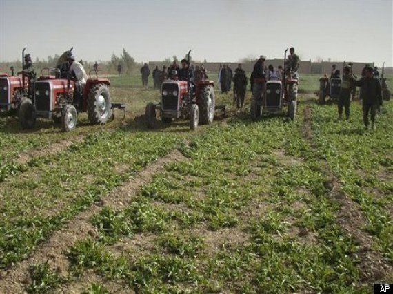 Us Troops Fight Afghan Opium Farming