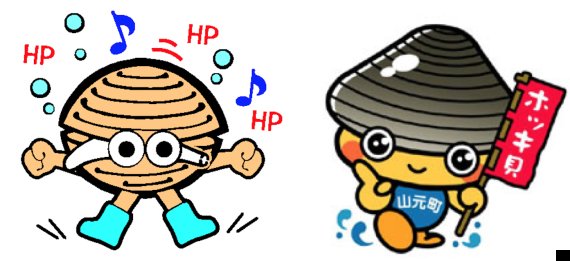 hokki