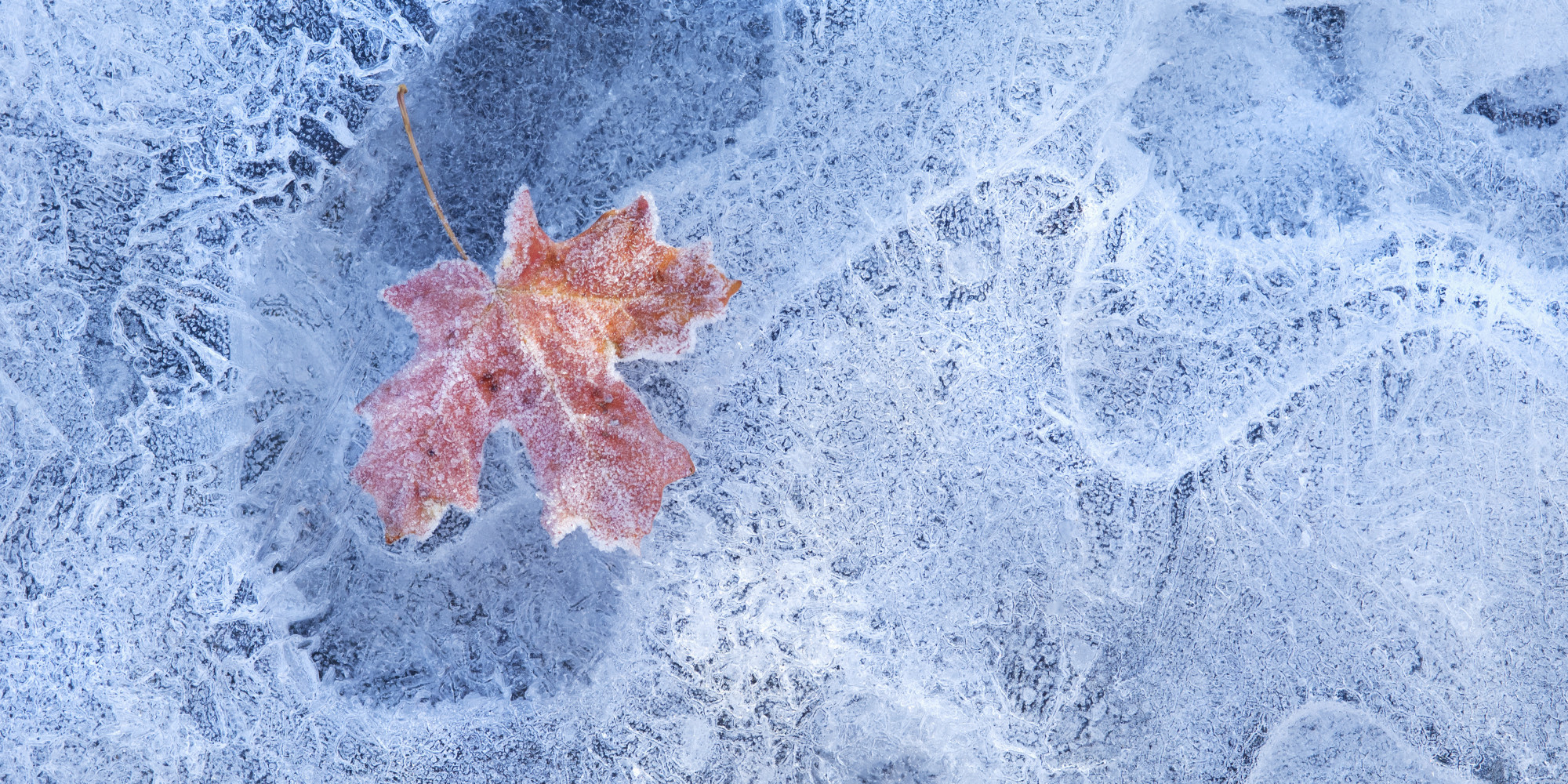 prairie-deep-freeze-means-more-wind-chill-warnings