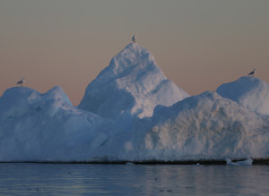 Arctic Sea Ice