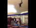 'Teeterboarding' Is A High-Flying Feat Of Gymnastic Skill (VIDEO)