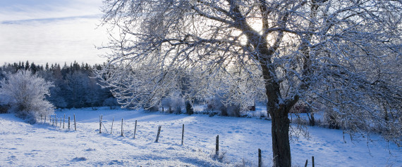 winter wonderland scenes