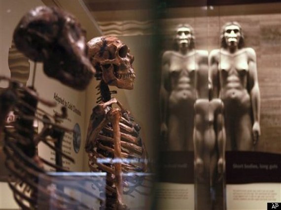 Smithsonian Human Evolution