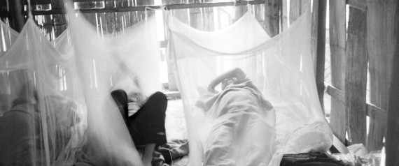 malaria nets