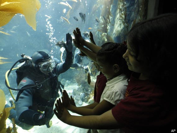 California Science Center