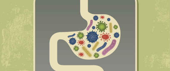 diet change gut bacteria