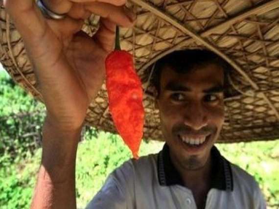 Ghost Chili