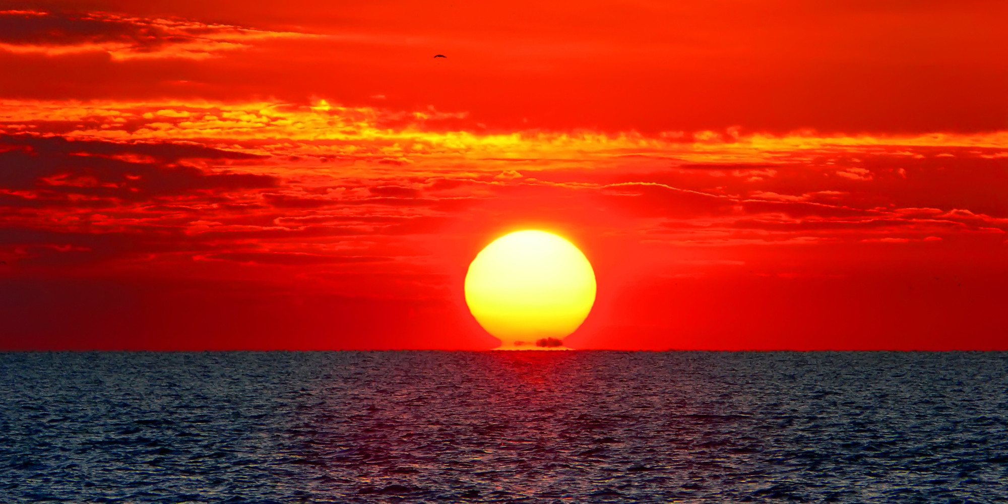 The Sun Will Boil Earth's Oceans In A Billion Years, Not 150 Million ...