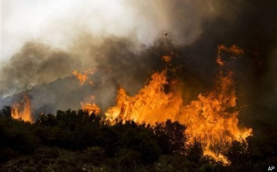 Wildfire