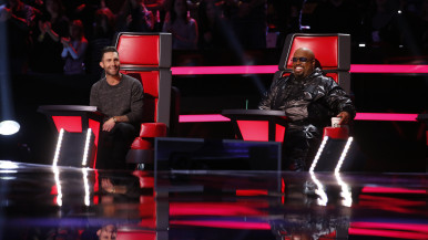 The Voice judges