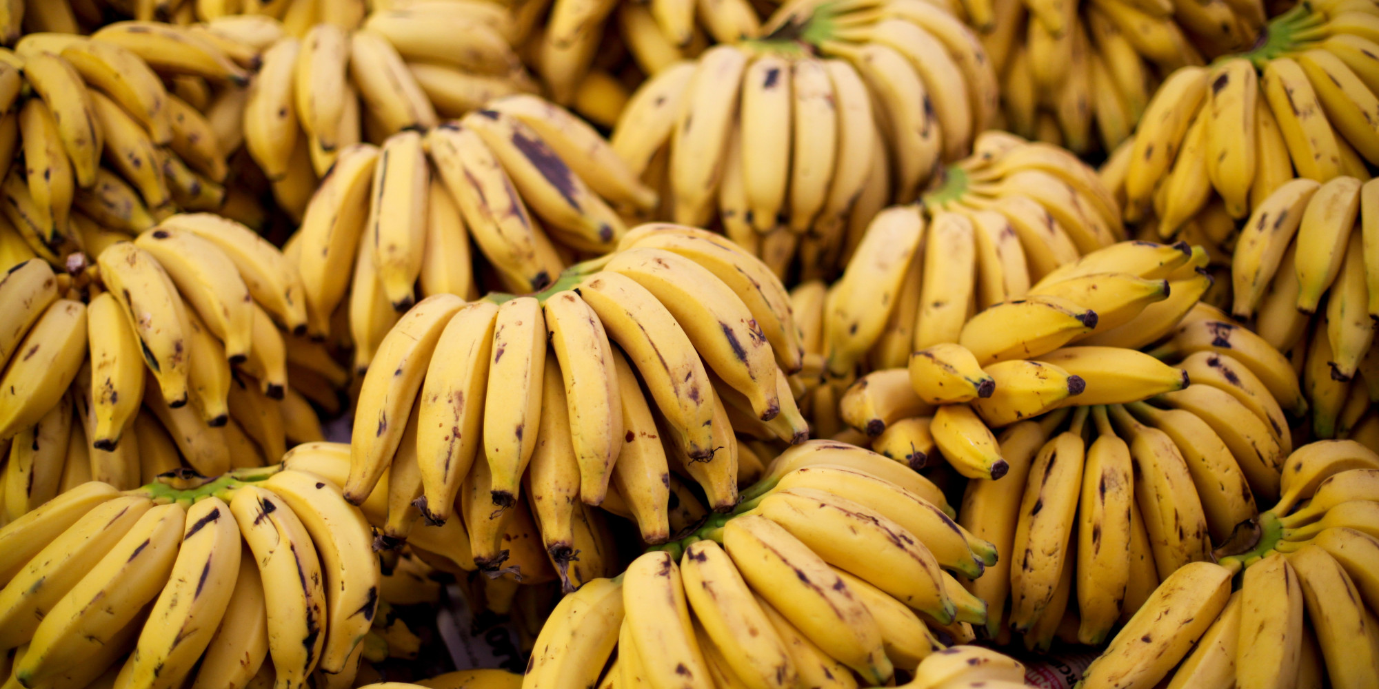 Buy research papers online cheap why bananas are really good