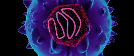 Hepatitis