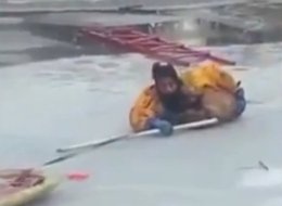 dog rescued icy lake