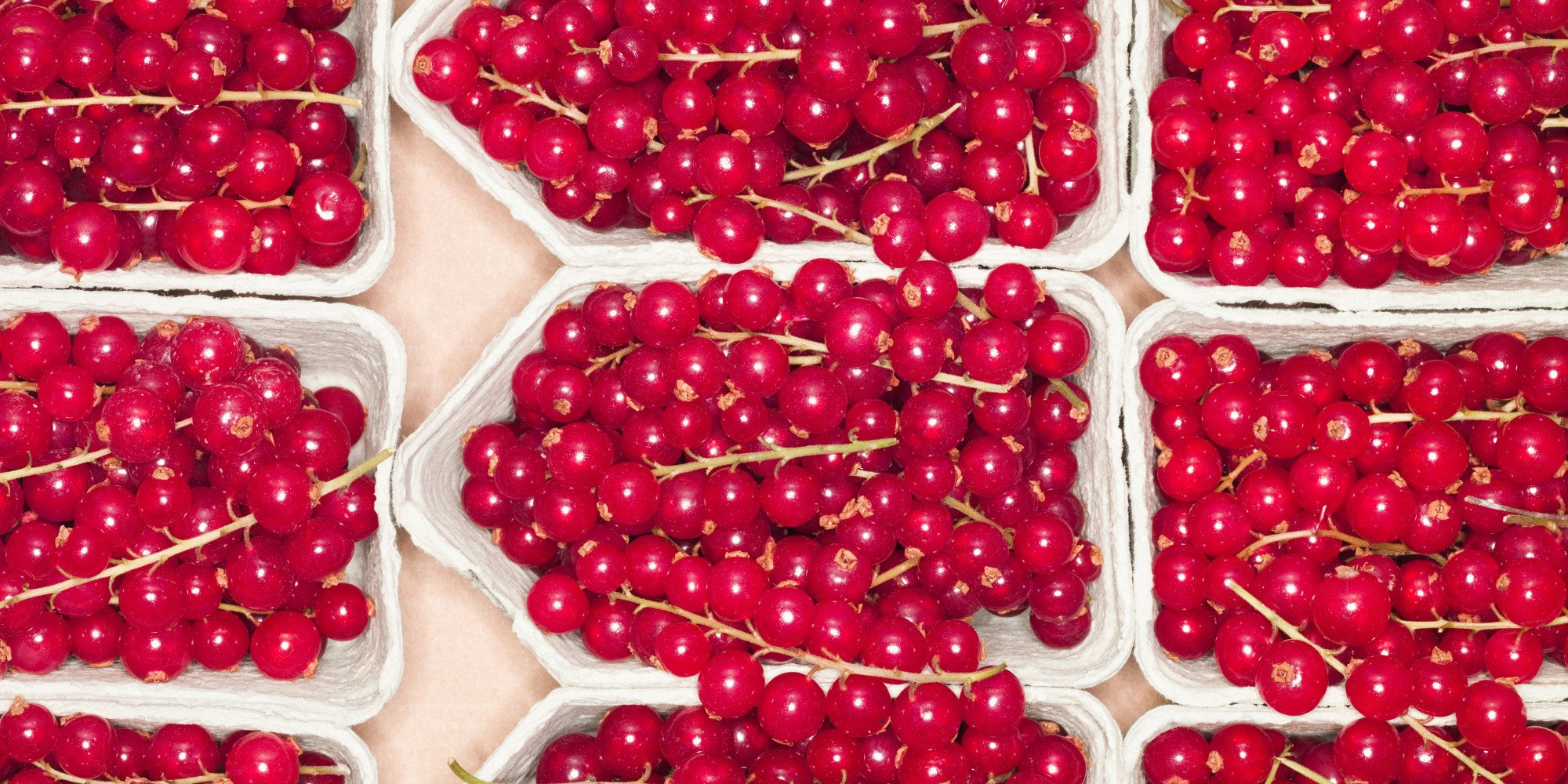Cranberry Benefits: Cranberries May Prolong Your Life, Study Finds