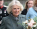 Camilla Parker-Bowles Isn't Such A Great Cook, Says Her Son
