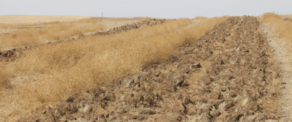 Chinese Farmland polluted