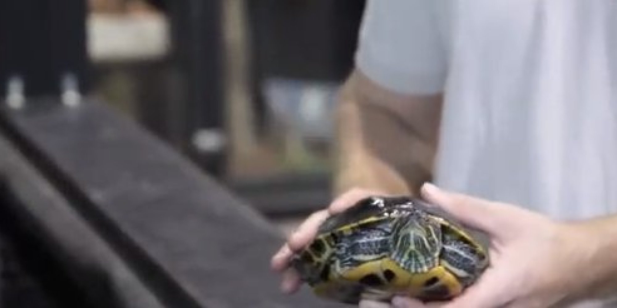 Reptile Guy Mike Hopcraft Seeks Public Donations For Bigger Facility