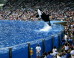 SeaWorld-Owned IP Address