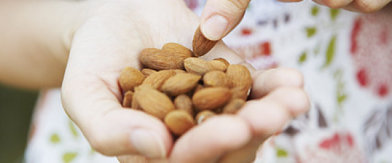 Memory booster foods for adults picture 1