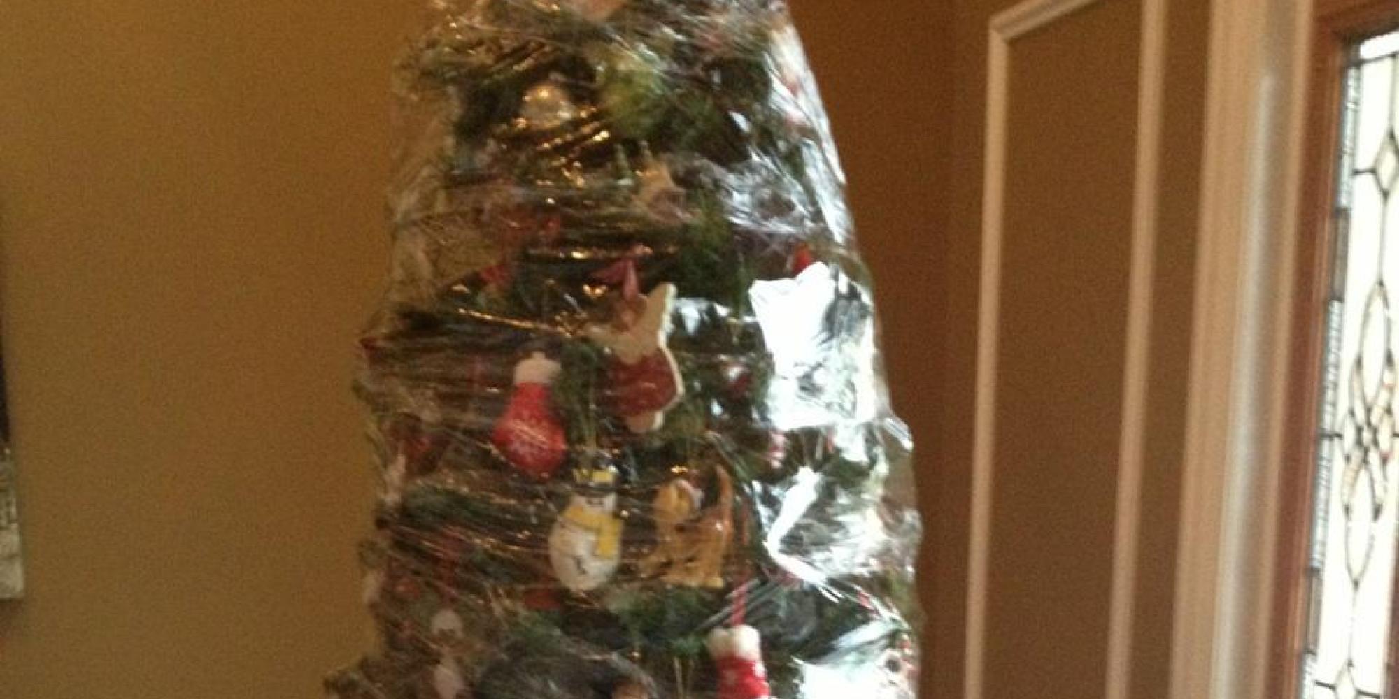 this is how you take down a christmas tree picture this is how you take down a christmas tree picture