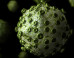 These 12 Viruses Look
