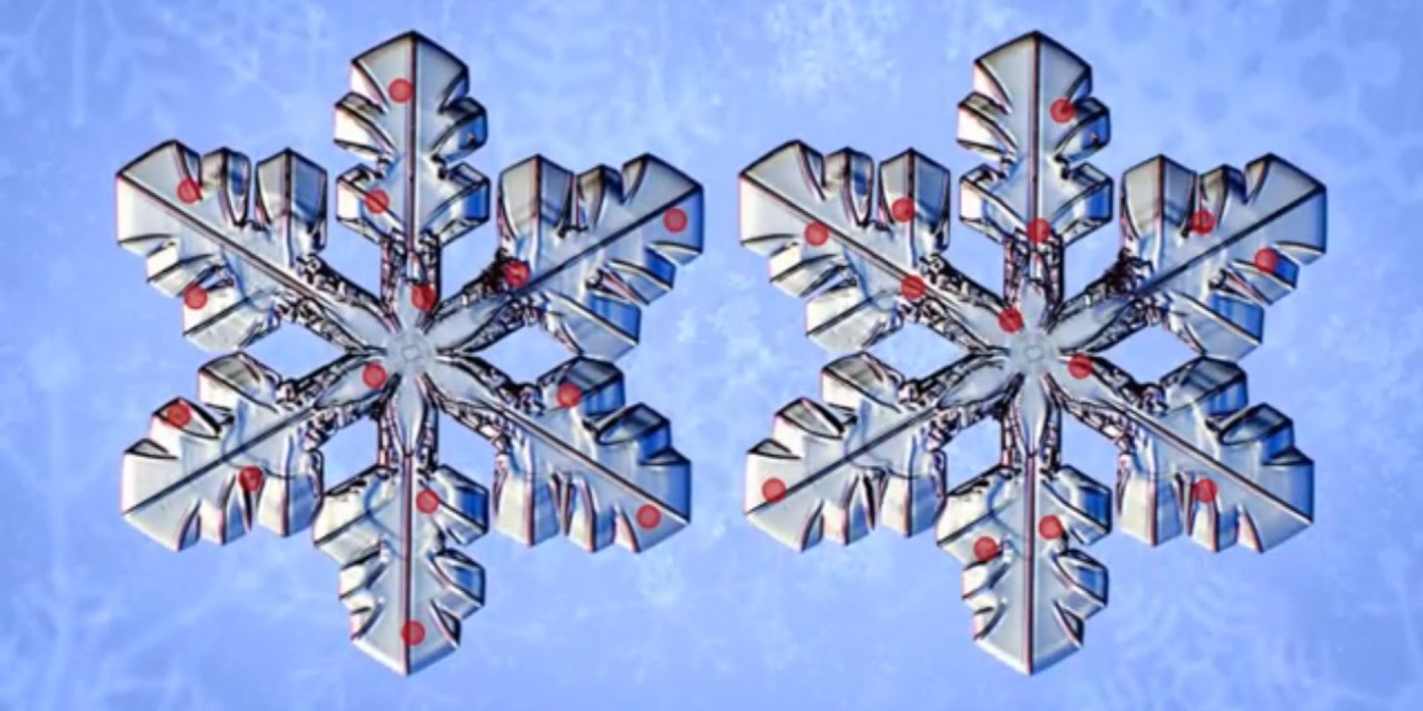 It's True That No Two Snowflakes Are Alike, But Not For The Reason You ...