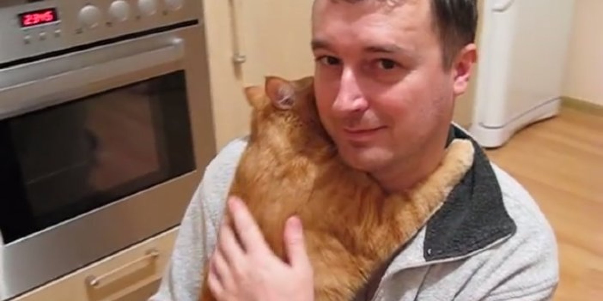 Cat Loves Hugs... A Lot, Apparently HuffPost
