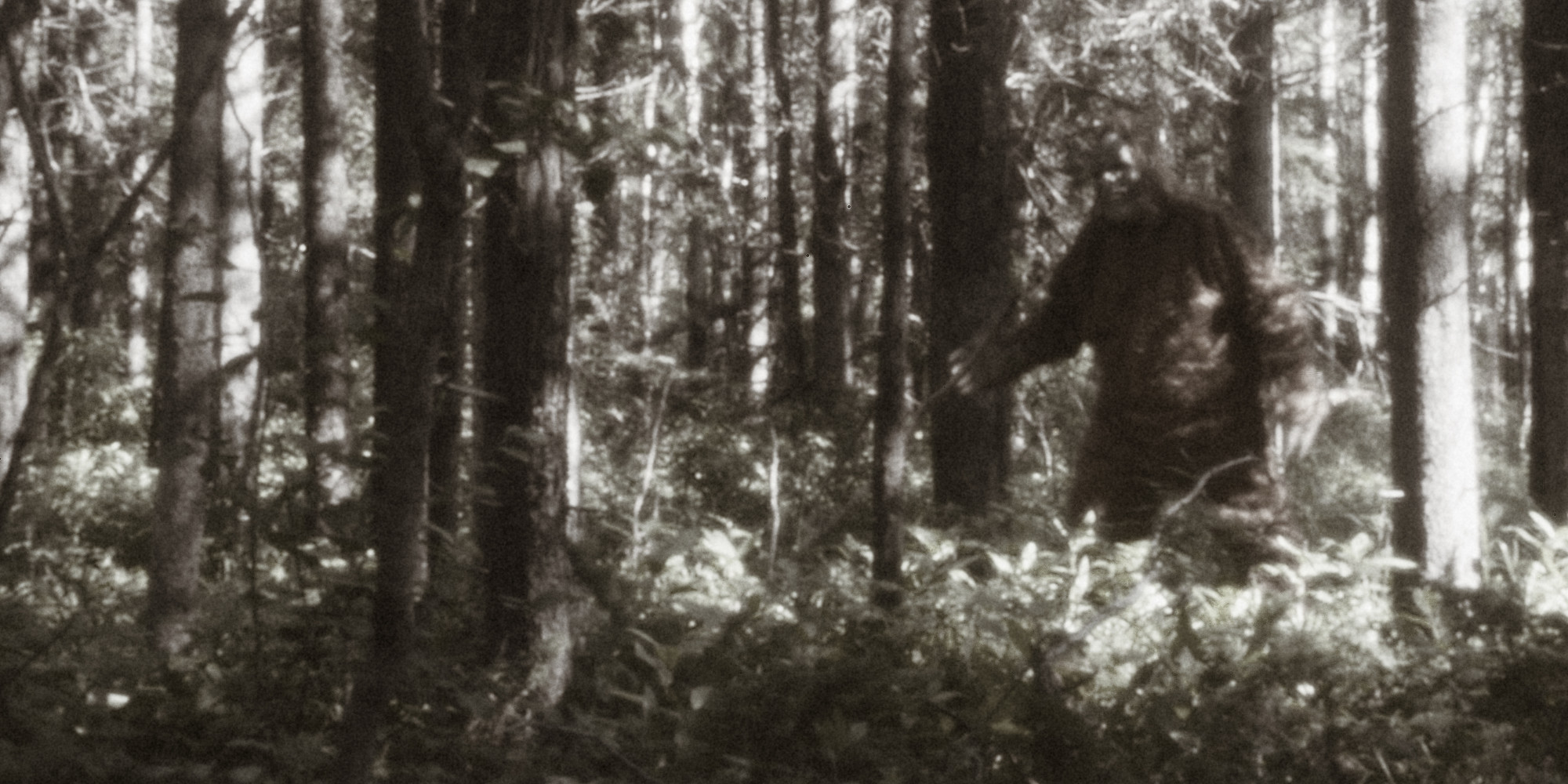 bigfoot-is-wandering-michigan-man-s-property-and-eating-pizza-he