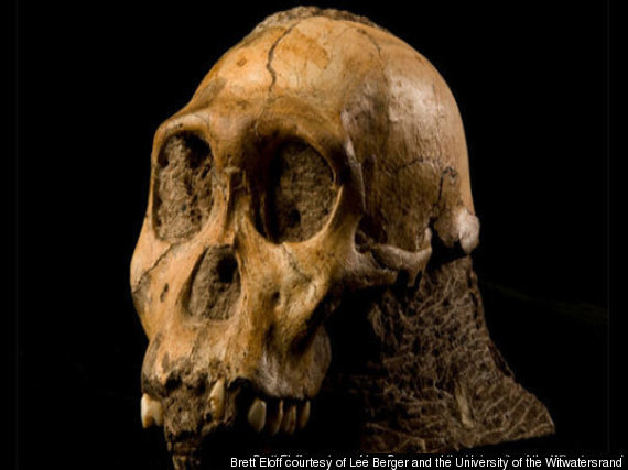 Fossil
