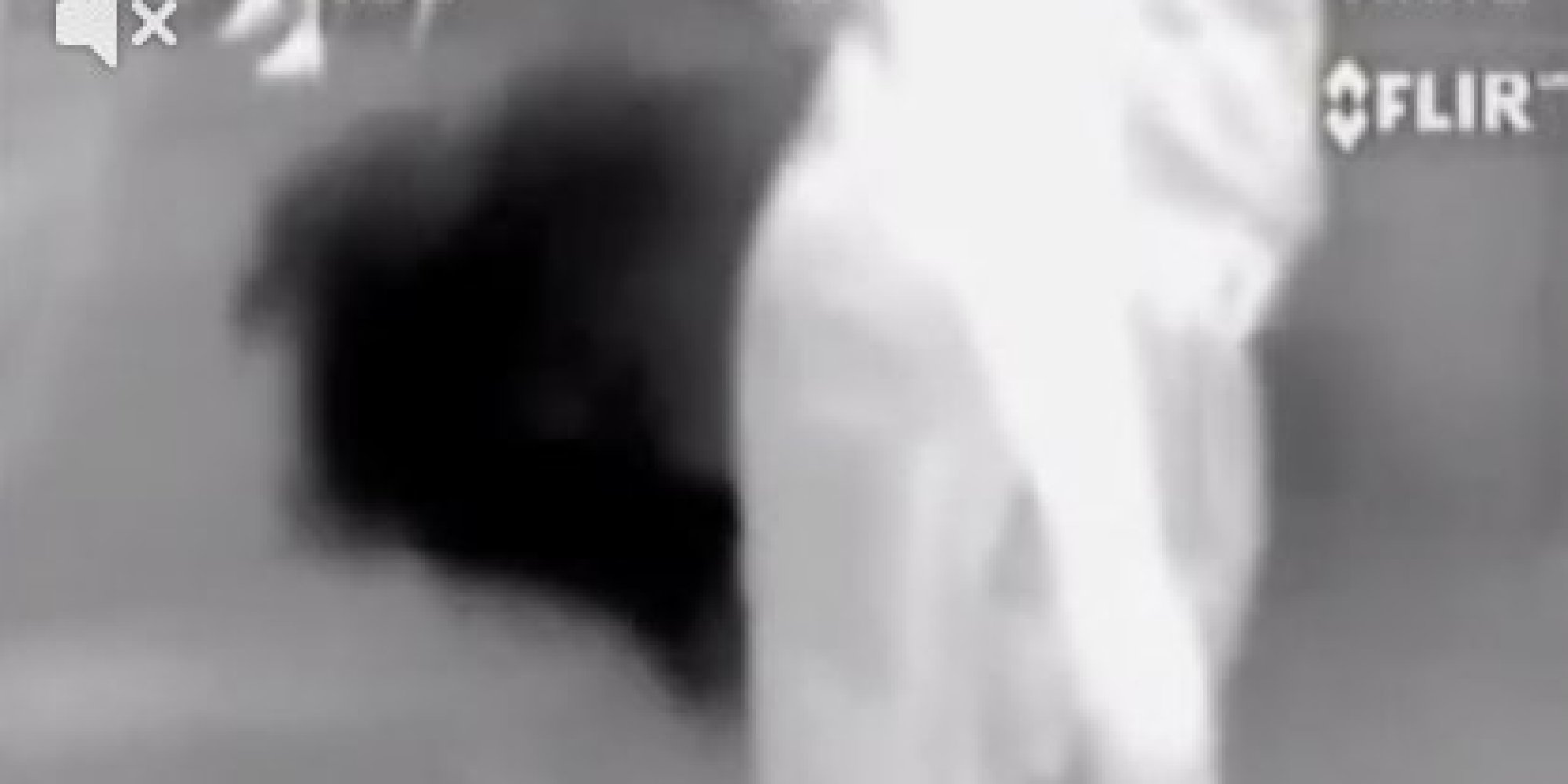 'Fart' Caught On Thermal Imaging Camera Is Possibly Fake But Gross All