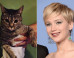 A Cat Wears Jennifer Lawrence's Golden Globes Dress In Epic Twitter Photo