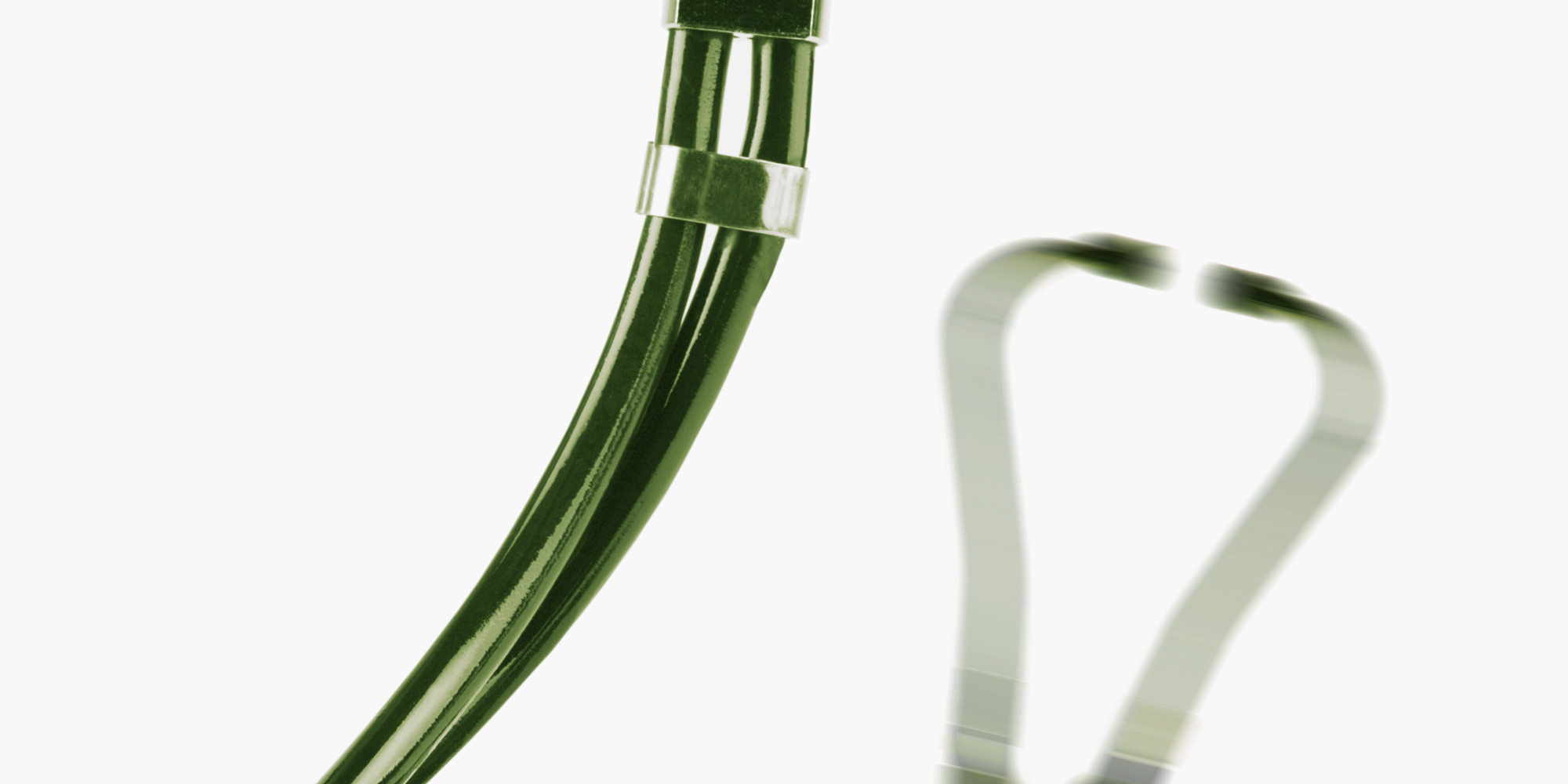 How Snakes Can Help Cure Heart Diseases (VIDEO) HuffPost UK