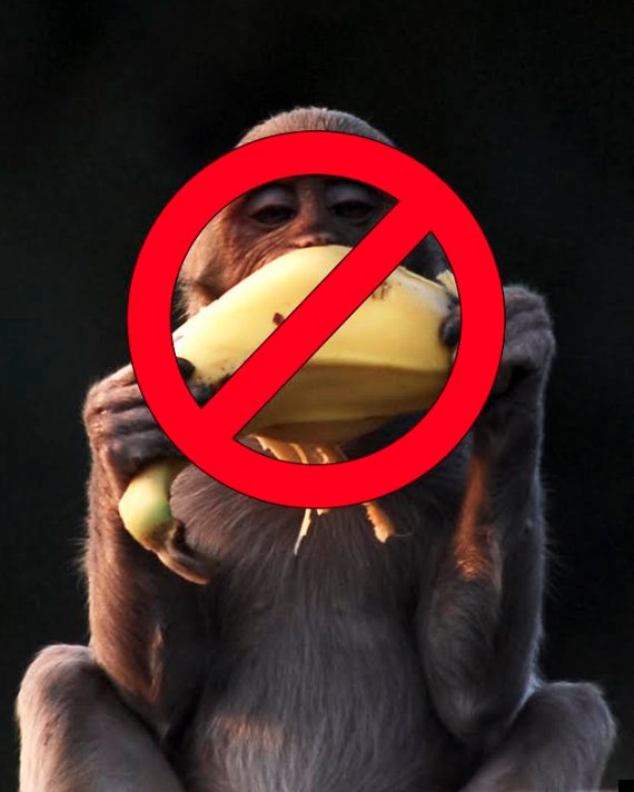 Monkeys Banned From Eating 'Unhealthy' Bananas At Paignton Zoo