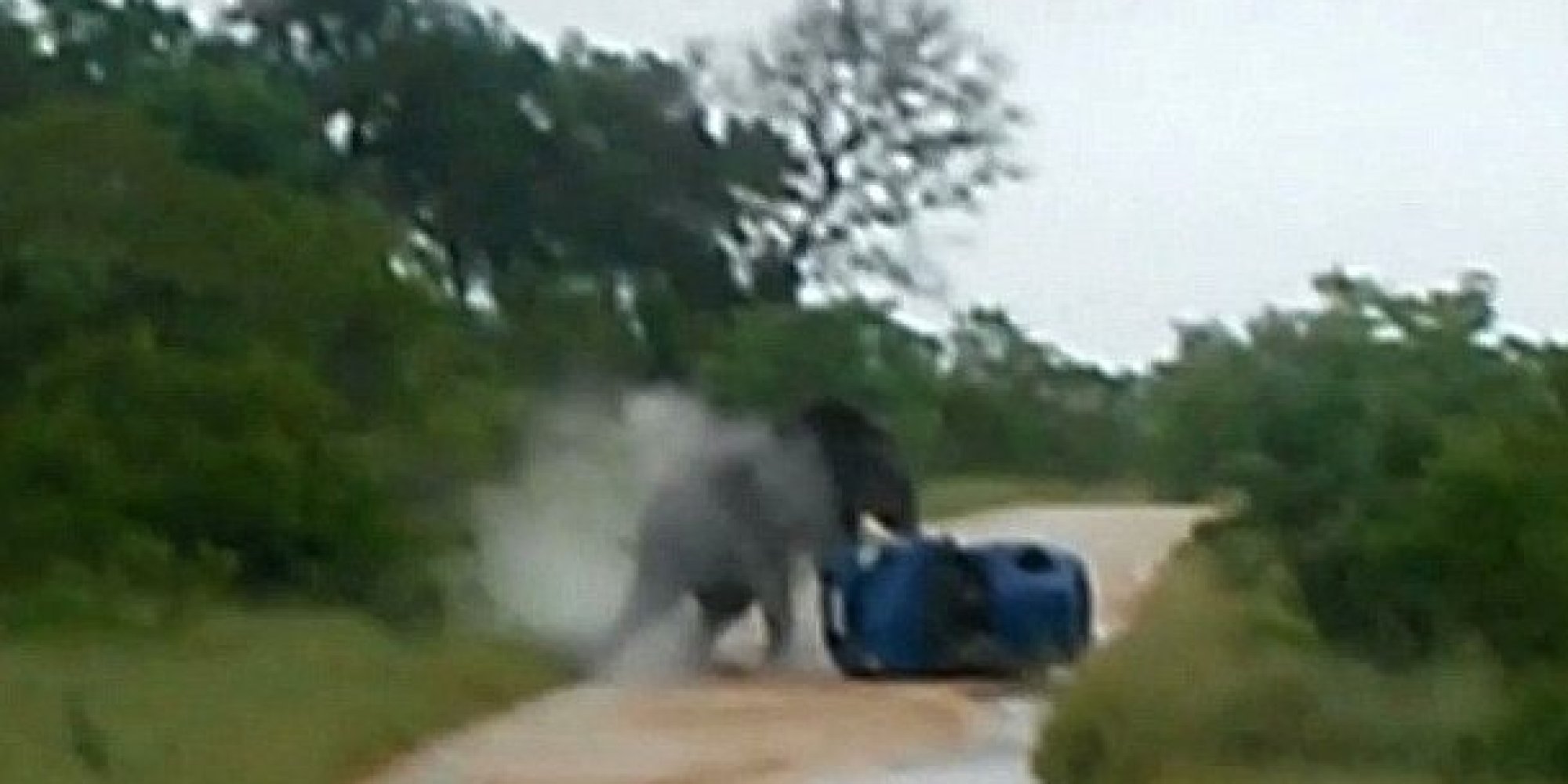 Bull Elephant Gores British Woman Sarah Brooks, Flips Car Over In