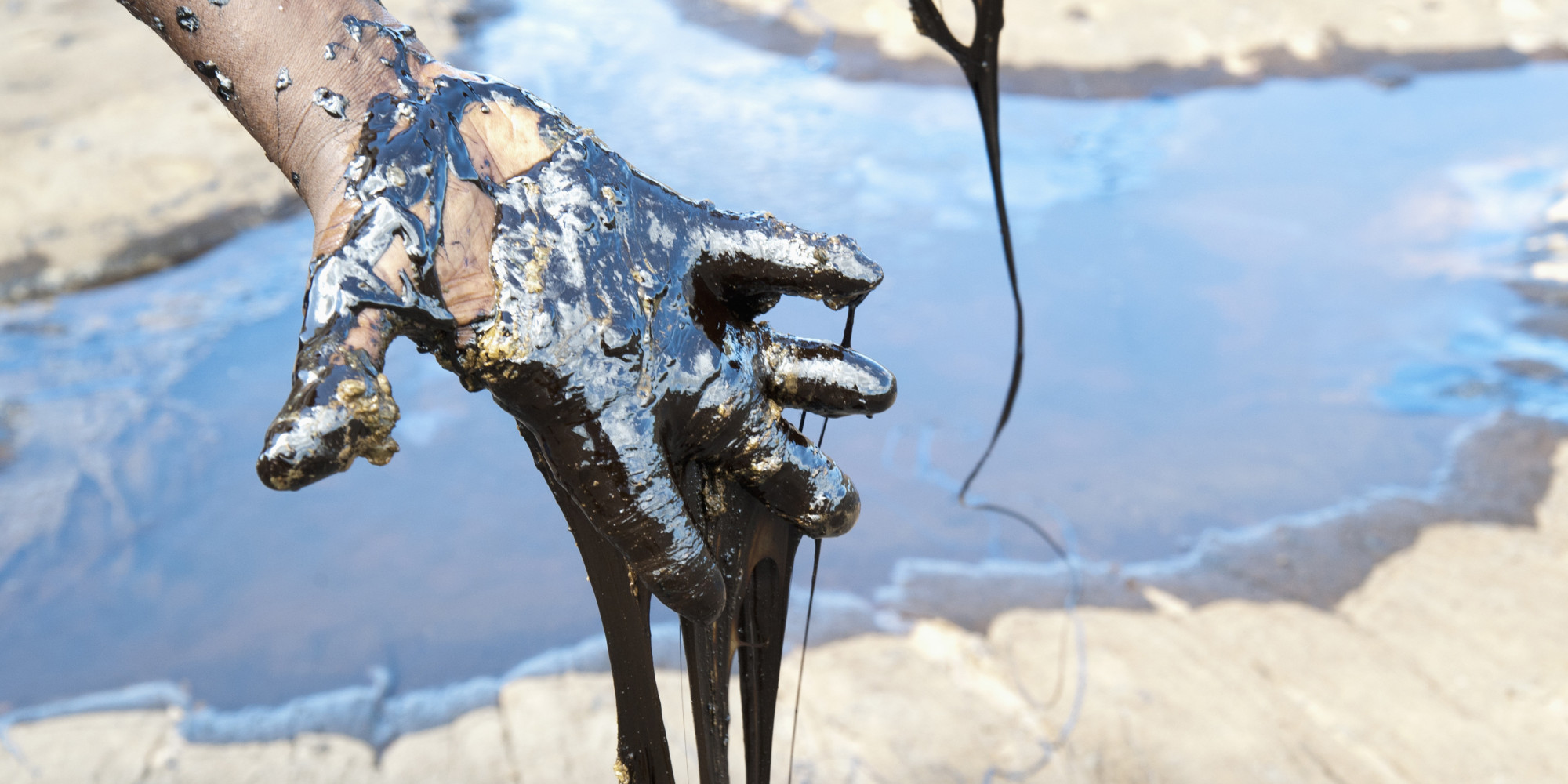 Like So Many Bad Things, Oil Spills Are Good For the Economy David Suzuki