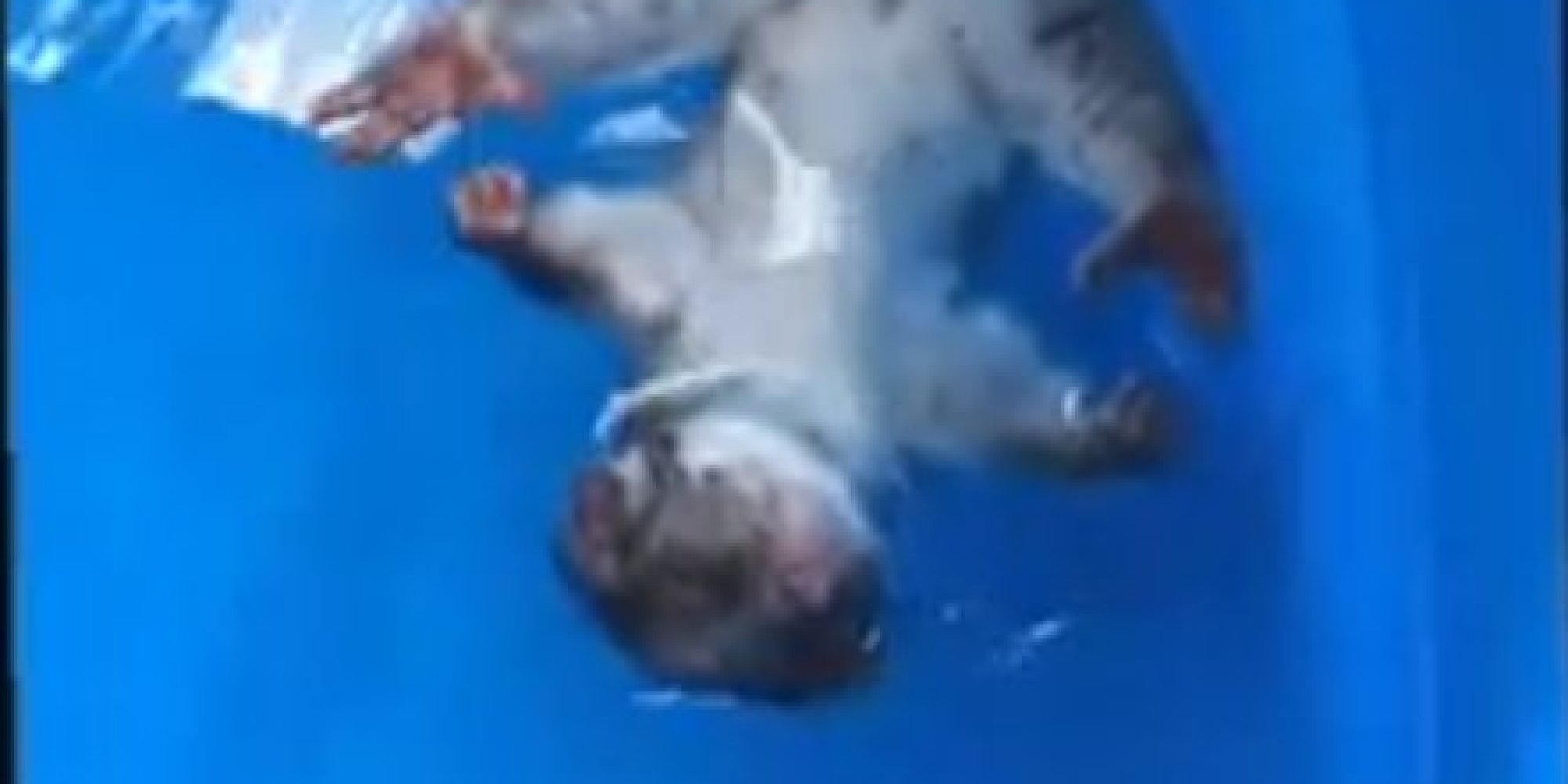 Just A Possum Cooling Down In A Swimming Pool (VIDEO) HuffPost UK