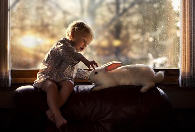 boy with rabbit window